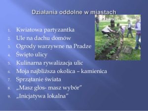 prezentacja-soectwa-opypy-maja-winiarskaczajkowska-19-638