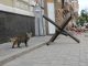Kharkiv, 8 Svobody Street. A quarter in the center of Kharkiv with almost every building damaged. In the absence of people cats took control. Photo was taken on Aug 16, 2022 by Kateryna Svid.