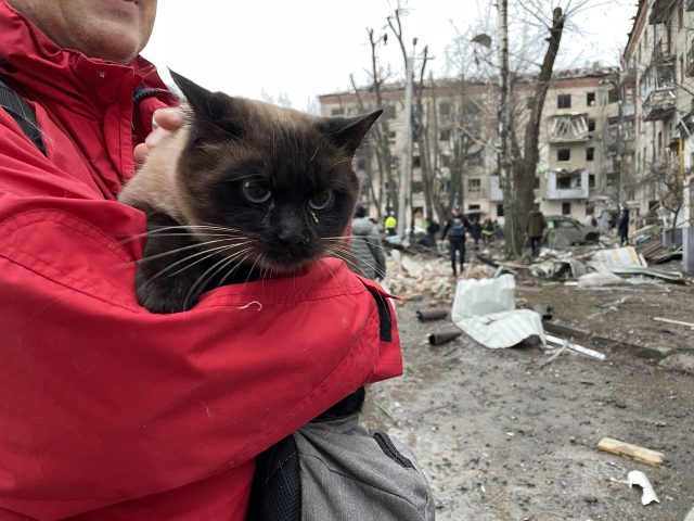 Волонтер рятує кішку після удару російської ракети по житловому будинку. Харків. 2 січня 2024 року. Фотограф Євген Титаренко